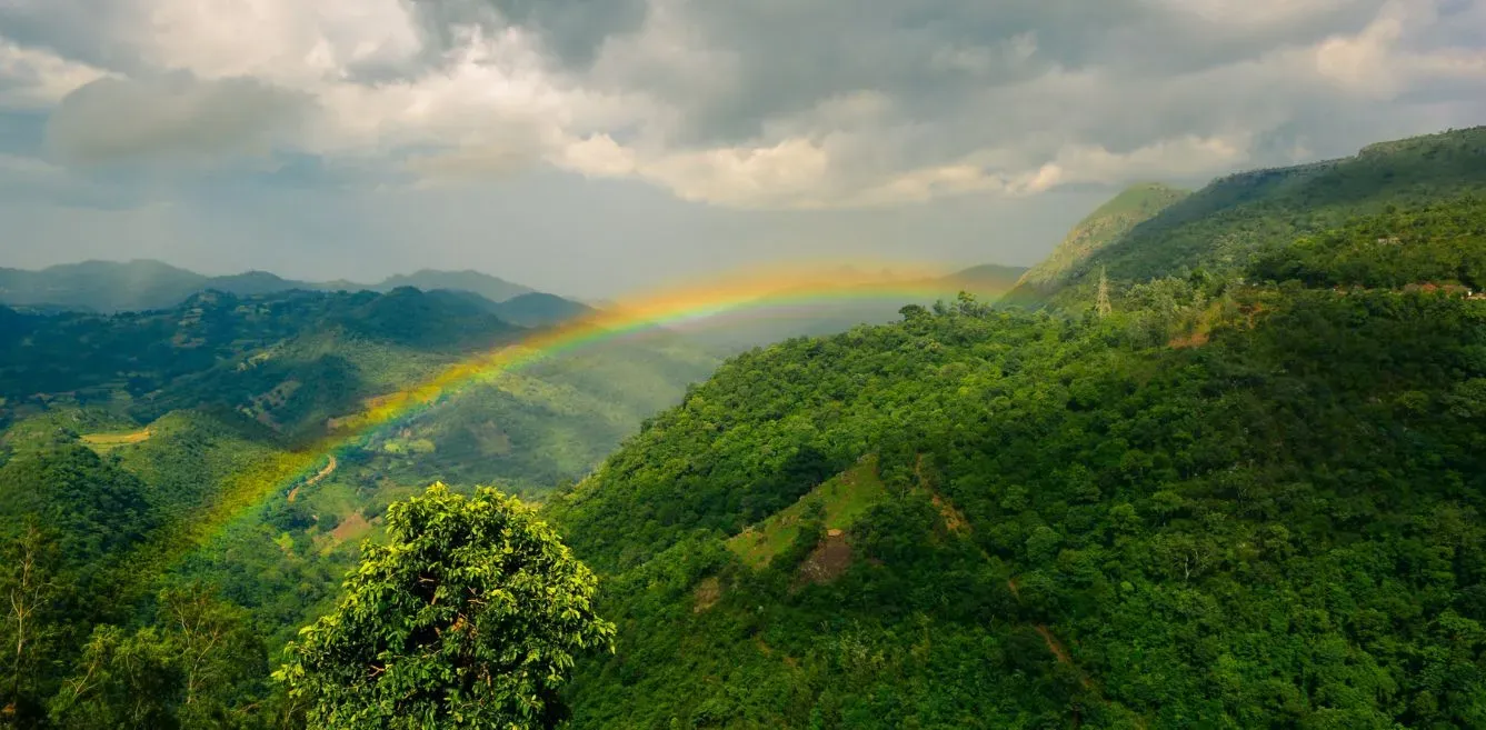 Araku Valley Rainbow 